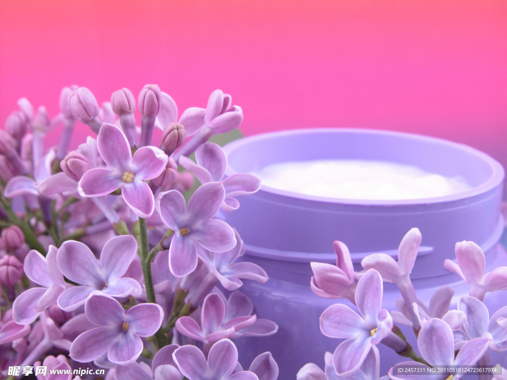 牛奶丁香花