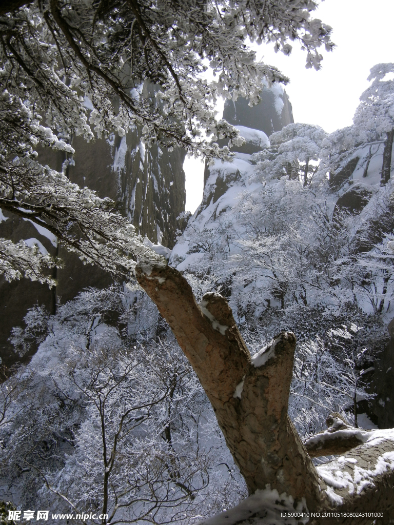 雪景