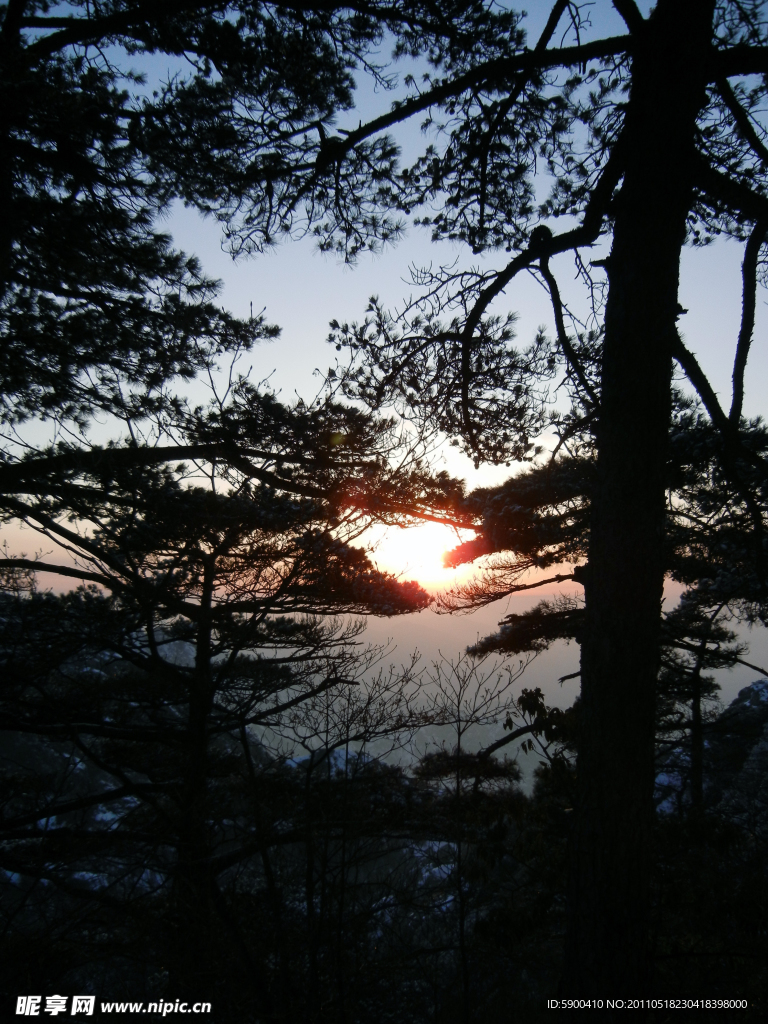 日落穿林