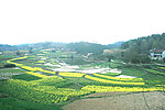 山村