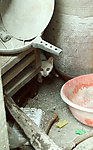 躲猫猫