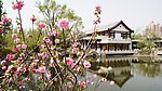 湖畔桃花开