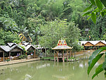 西双版纳风景