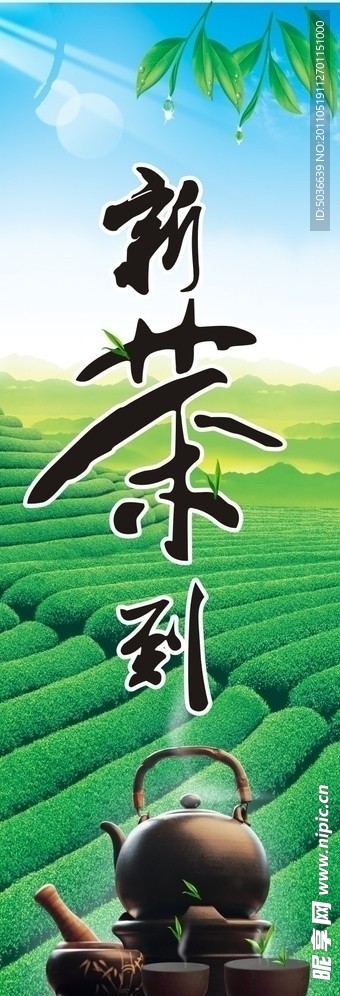新茶到 写真展架