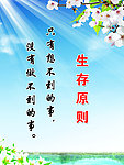 生存原则
