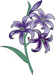 矢量 花