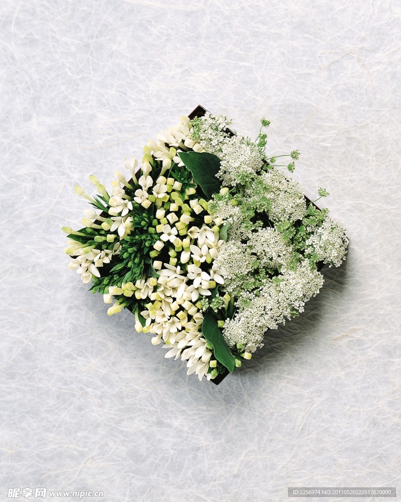 百花争艳