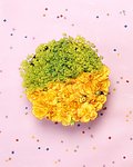 百花争艳