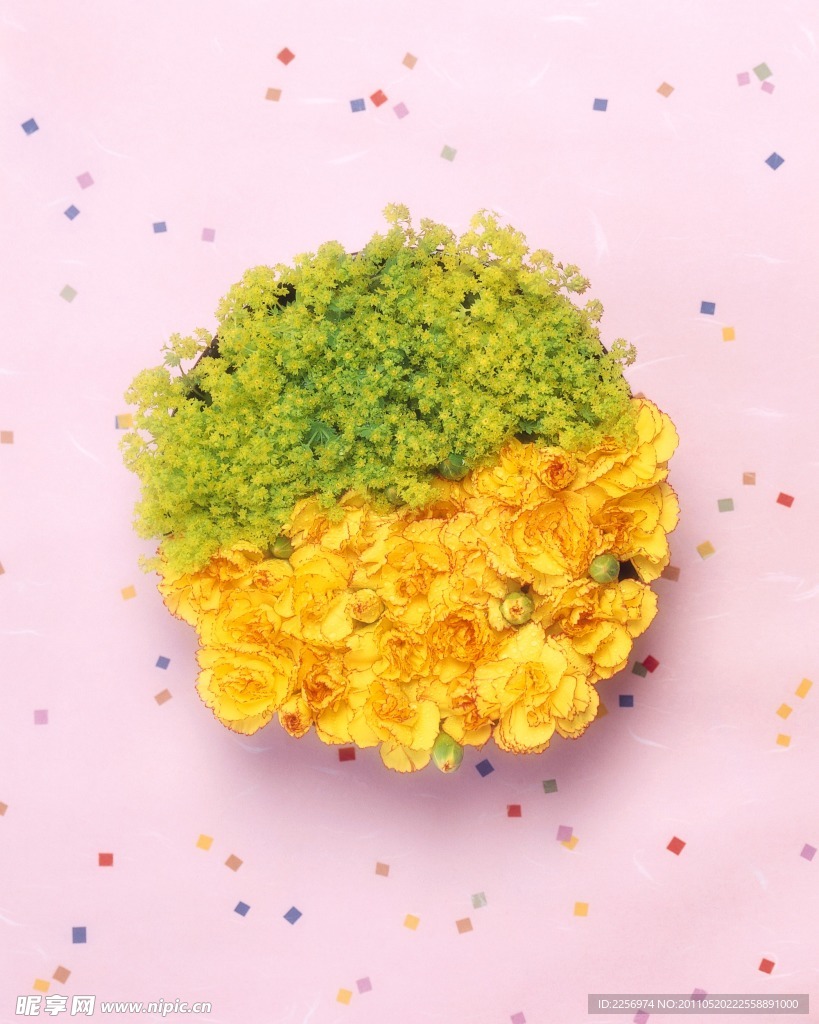 百花争艳