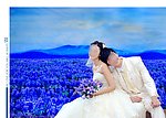 婚纱摄影模板