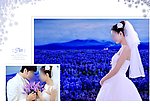 婚纱摄影模板