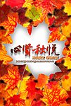 秋季海报