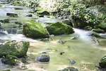 小溪