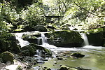 小溪