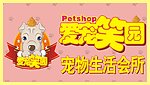 宠物