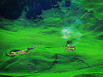 新疆风景