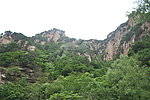 绿树茵茵 山险峻