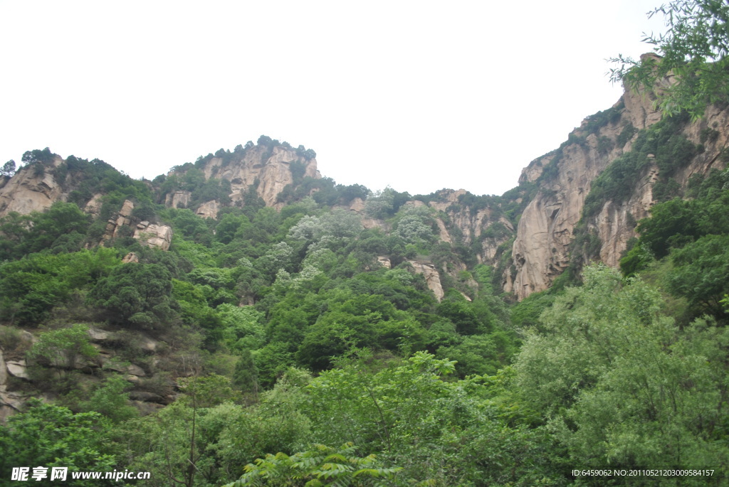 绿树茵茵 山险峻