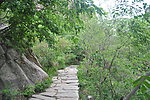 山间小路