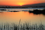 伊犁河夕照