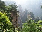 绿意青山