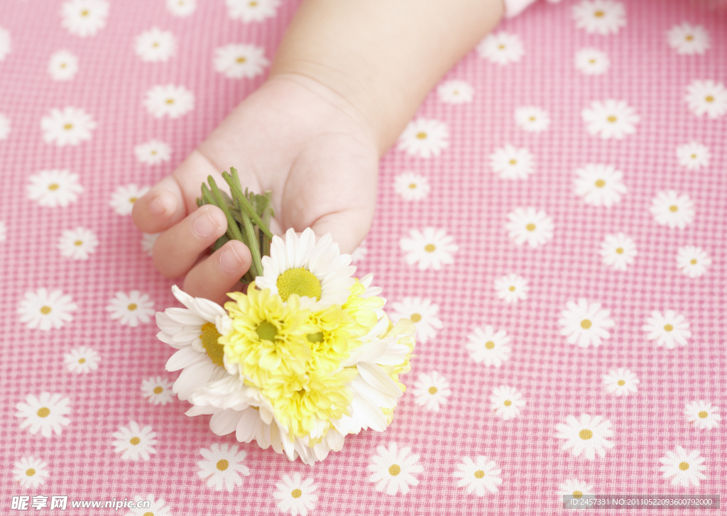 婴儿宝宝手中的鲜花