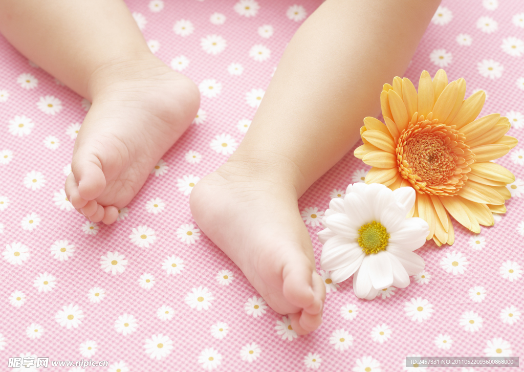 婴儿宝宝的小脚和鲜花