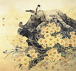 菊雀