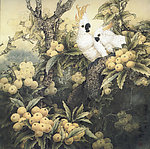 硕果累累满树金