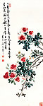 月季