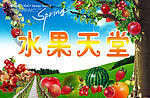 水果天堂