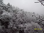 雪景