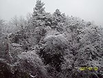 雪景