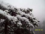 雪景
