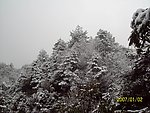 雪景