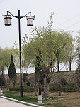 路灯