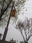 路灯