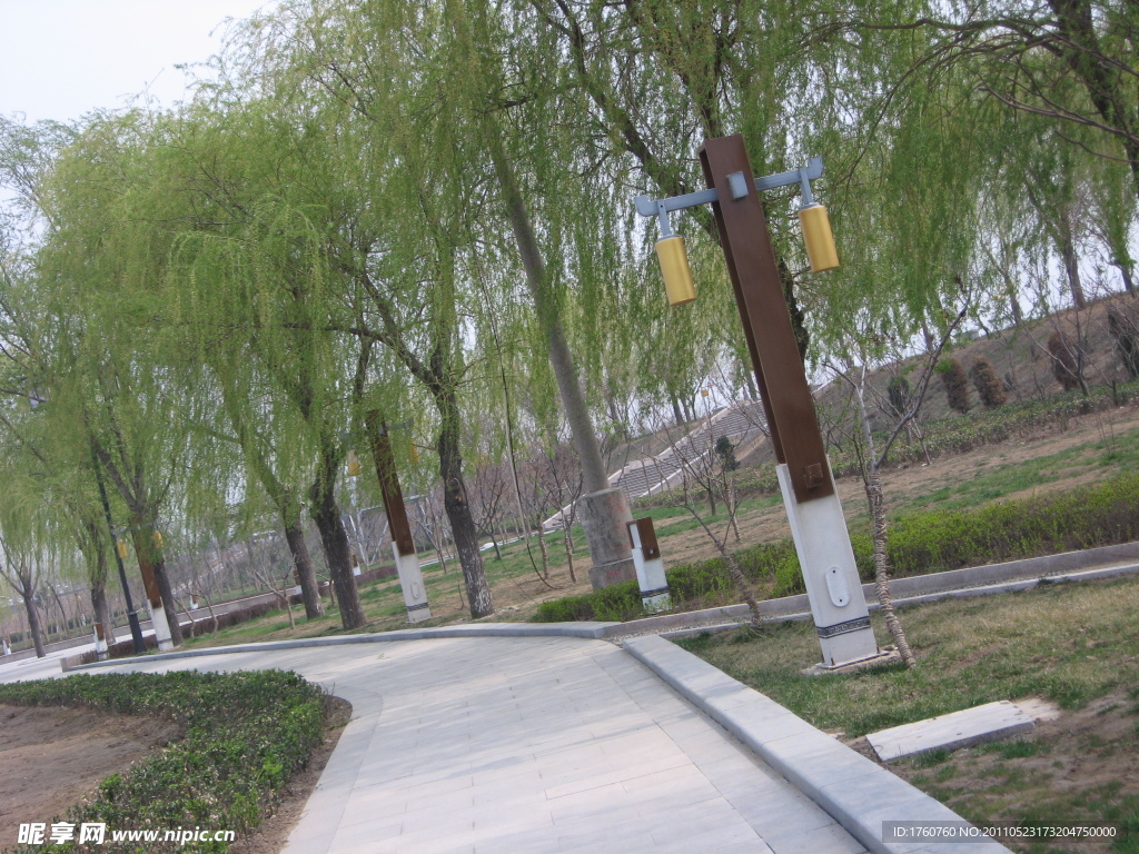 林荫小路