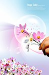鲜花背景模版