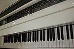 黑白键钢琴键