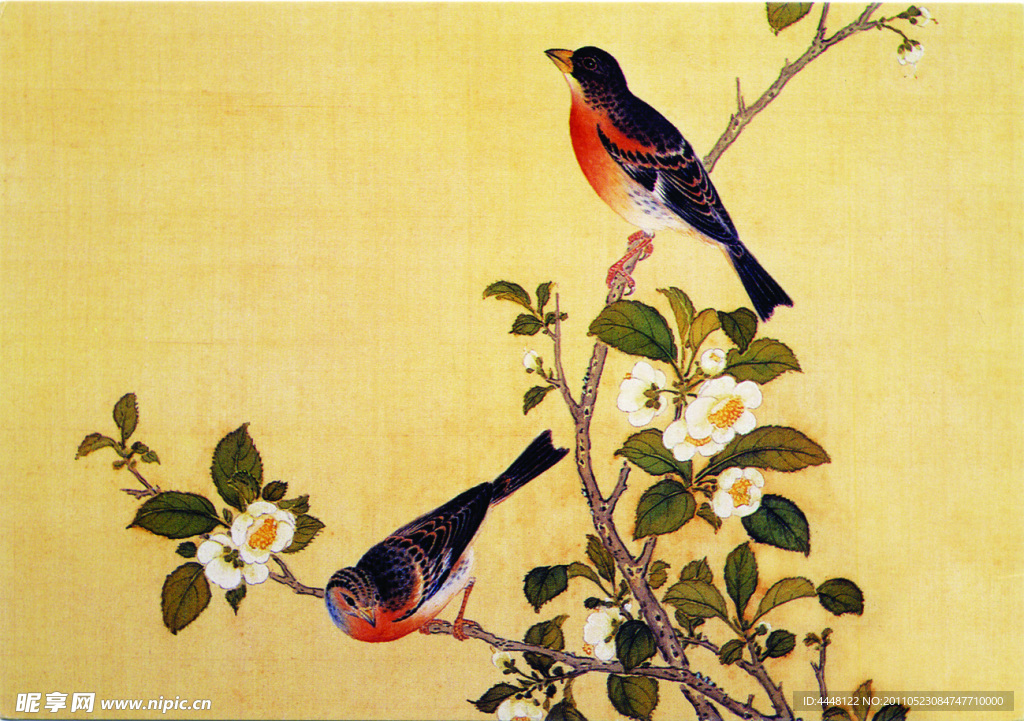 花鸟