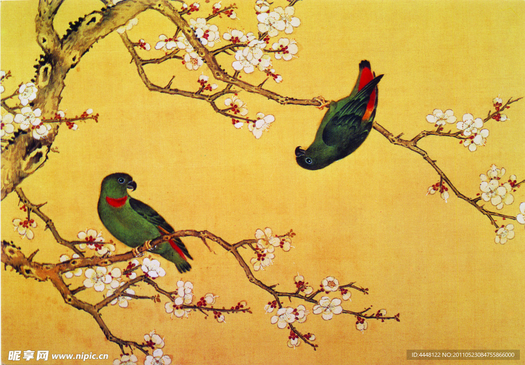 花鸟
