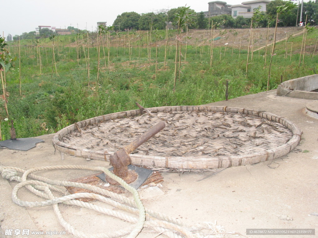 田园风光