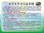 小学生学习方法介绍