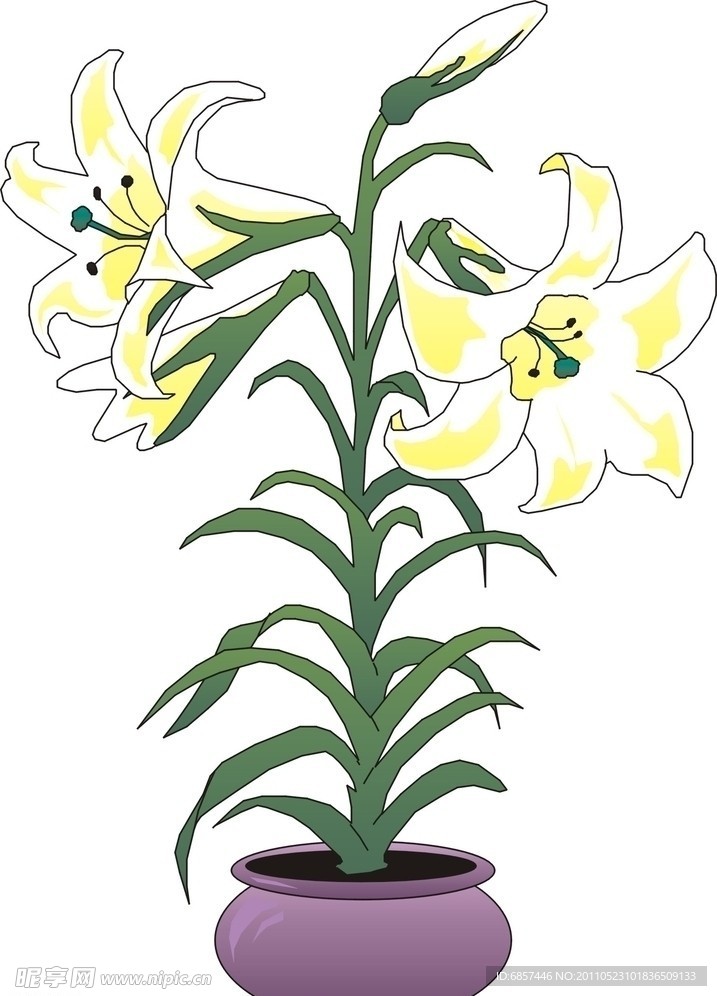 矢量花