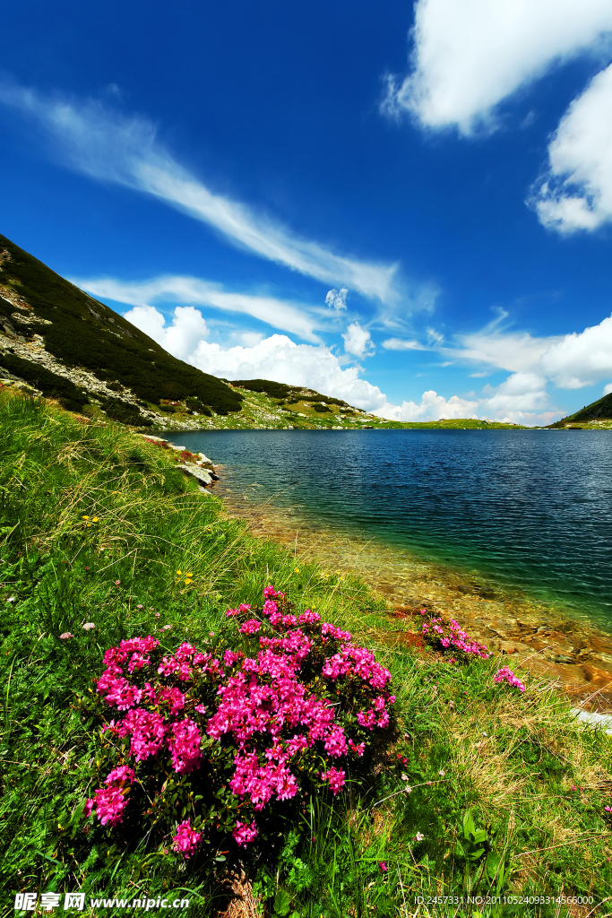 蓝天白云山脉湖水鲜花