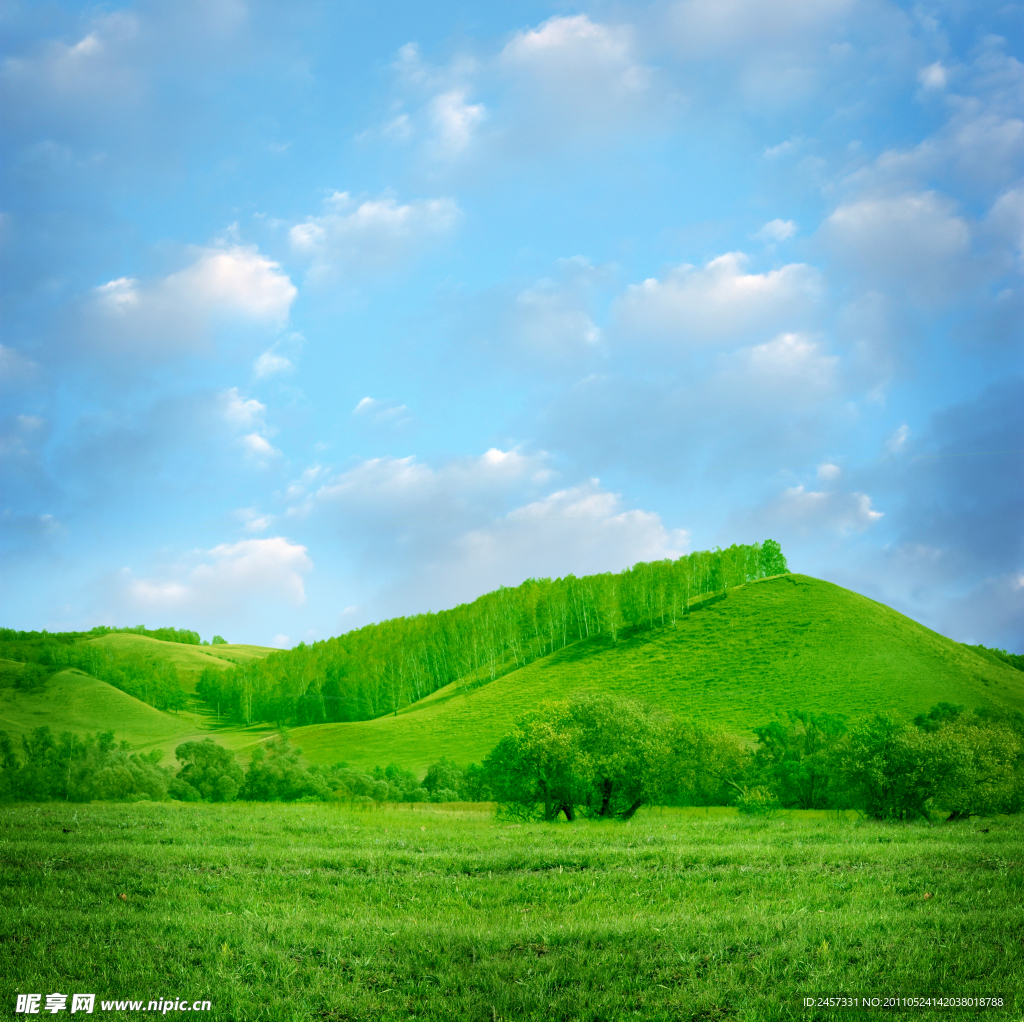 蓝天白云绿野群山树林