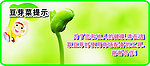 豆芽菜温馨提示