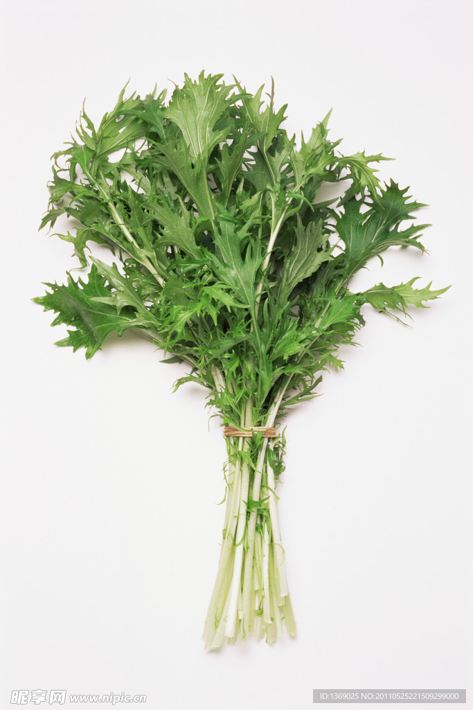 艾草