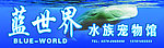 水族宠物馆